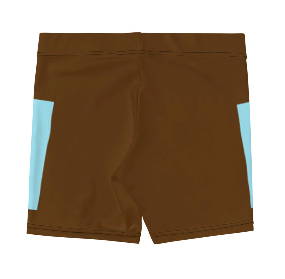 Valley Shorts Blue/Brown